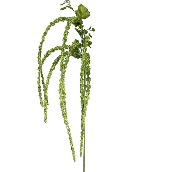 Amaranthus grøn h 94 cm