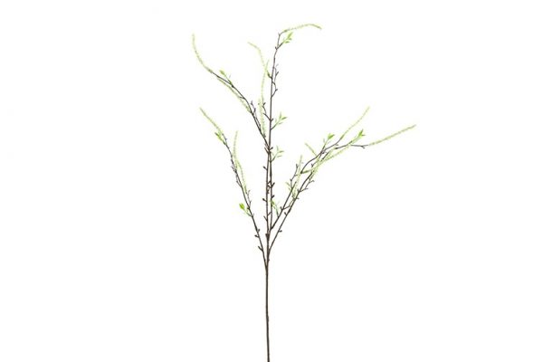 Salix creme - 86 cm