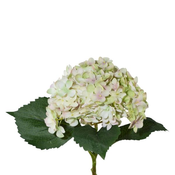 Hortensia grøn/lysrosa h 53 cm